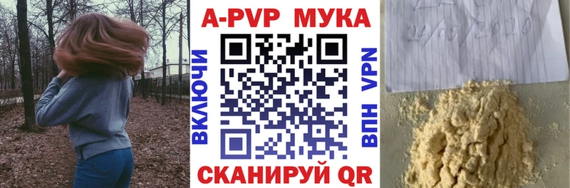 APVP VHQ Шенкурск