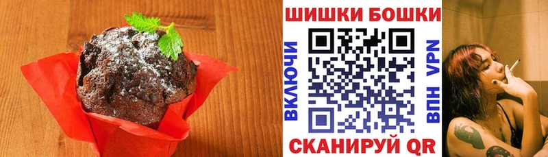 mega как войти  Шенкурск  Печенье с ТГК марихуана  как найти закладки 