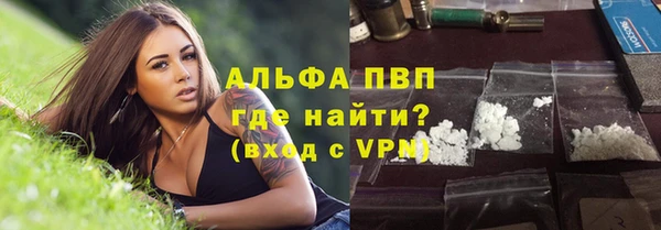 ГАЛЛЮЦИНОГЕННЫЕ ГРИБЫ Вязники