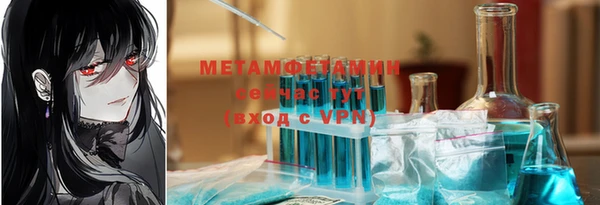 ГАЛЛЮЦИНОГЕННЫЕ ГРИБЫ Вязники