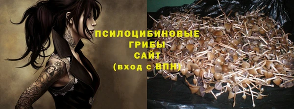 ГАЛЛЮЦИНОГЕННЫЕ ГРИБЫ Вязники