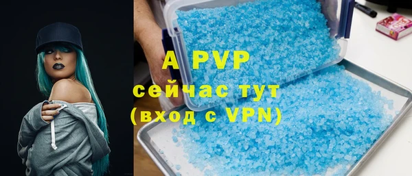 ГАЛЛЮЦИНОГЕННЫЕ ГРИБЫ Вязники