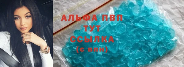 ГАЛЛЮЦИНОГЕННЫЕ ГРИБЫ Вязники