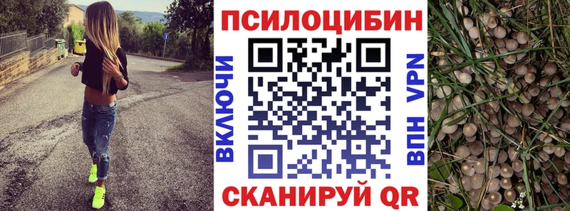 Галлюциногенные грибы ЛСД Шенкурск